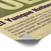 Poster Travel to Puerto Rico: El Yunque (Coin)