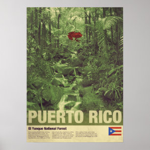Poster Travel to Puerto Rico: El Yunque