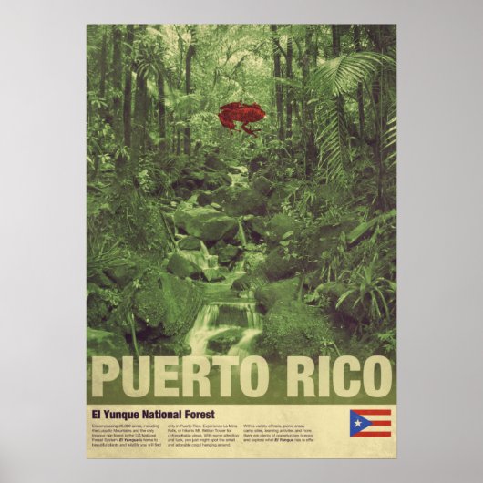 Poster Travel to Puerto Rico: El Yunque (Devant)