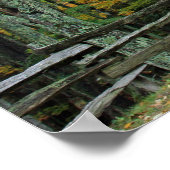 Poster Traveled The Road Less (Coin)