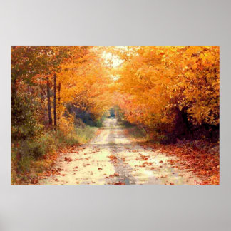 Poster Traveled The Road Less