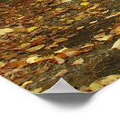 Poster Traveled The Road Less (Coin)