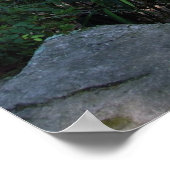 Poster Traversée du jardin (Coin)