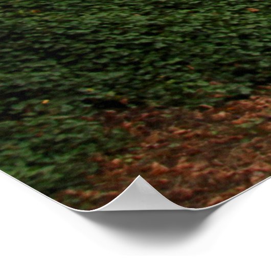 Poster Traversée piétonne (Coin)