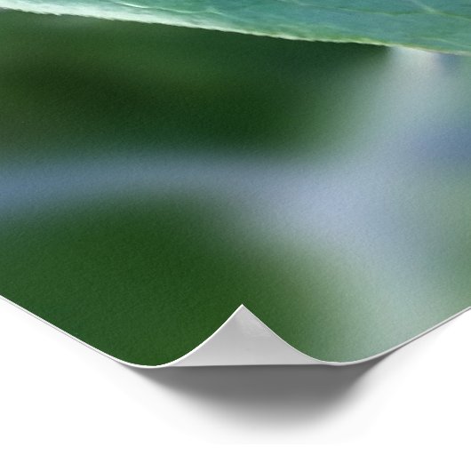 Poster traverser la clôture (Coin)