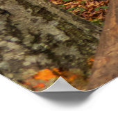 Poster Traverser la forêt d'automne. (Coin)