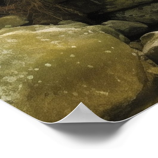 Poster Traverser le dos 40 (Coin)