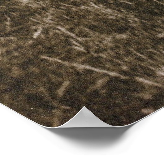 Poster Traversiers (Coin)