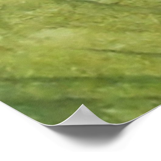 Poster Tree Frog (Coin)