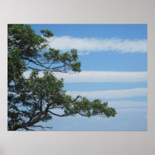 Poster Tree in the Clouds