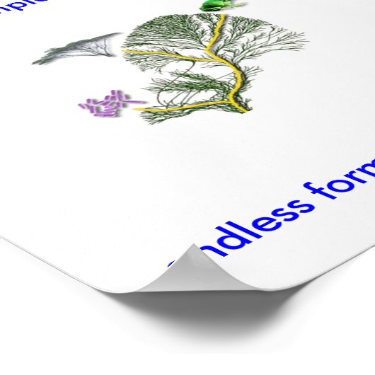 Poster Tree of Life (Coin)