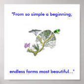 Poster Tree of Life (Devant)