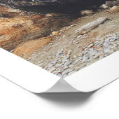 Poster Tree of Life (Coin)