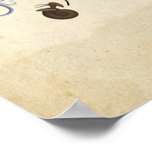 Poster Tree of Life (Coin)