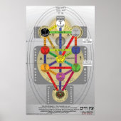 Poster Tree of Life Italian (Devant)