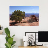 Poster Tree Out of Red Rocks II at Canyonlands (Bureau à domicile)