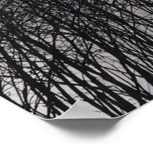 Poster tree sihloette (Coin)