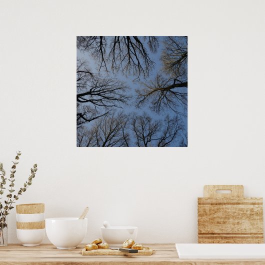 Poster Tree Top (Cuisine)