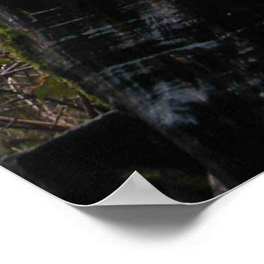 Poster Treegina (Coin)