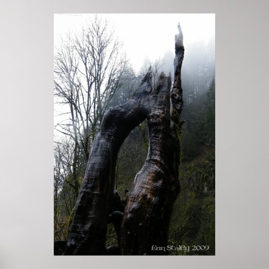 Poster Treegina (Devant)