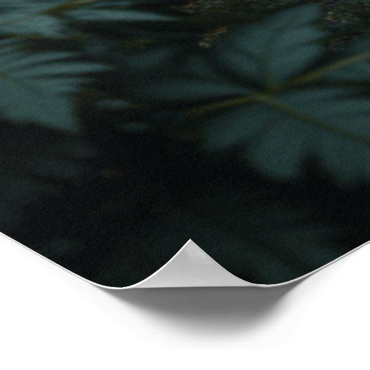 Poster Treehouse (Coin)