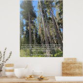 Poster Trees Forest Woods Thoreau Inspiration (Cuisine)
