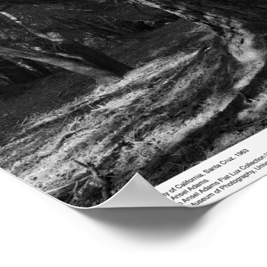 Poster Trees, UC Père Noël Cruz, 1963 (Coin)