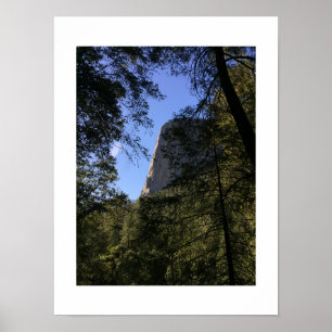 Poster Treeview Yosemite Green Blue couleur Photographie