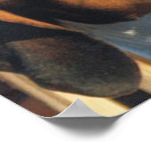 Poster Treking Walker Coonhound (Coin)