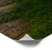 Poster Trellis au lever du soleil (Coin)