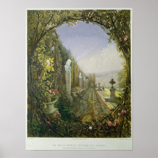 Poster Trellis Window, Trentham Hall Gardens (Devant)