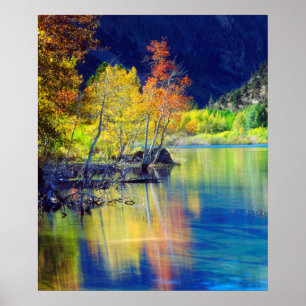 Poster Tremble d'automne se reflétant dans le lac Grant