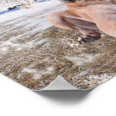 Poster Très Beau Chien Danse Assis Dans Le Casquette De N (Coin)