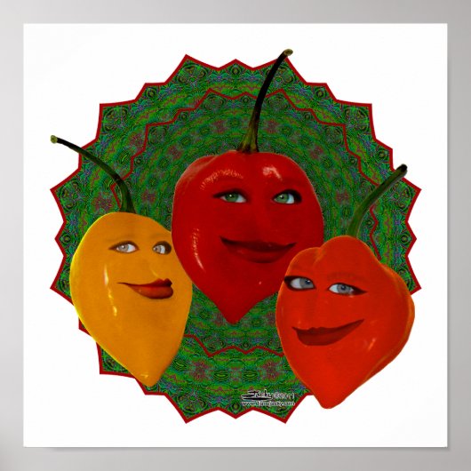 Poster Tres Habaneras (Devant)