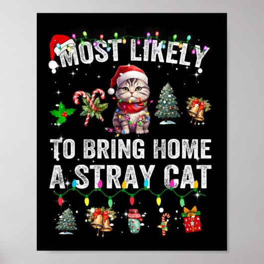 Poster Très Probable D'Apporter À La Maison Un Chat Étran (Devant)