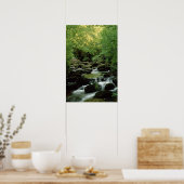 Poster très spécial Woodland Stream. (Cuisine)