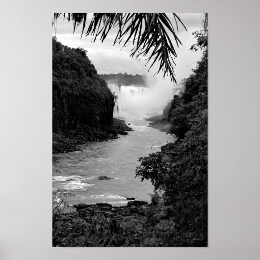 Poster Trésor dans la jungle (Devant)