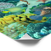 Poster Trésor du récif de corail de la sirène (Coin)