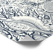 Poster Trésors de plage, coquillages, crabes, coraux et s (Coin)