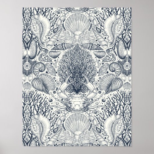 Poster Trésors de plage, coquillages, crabes, coraux et s (Devant)