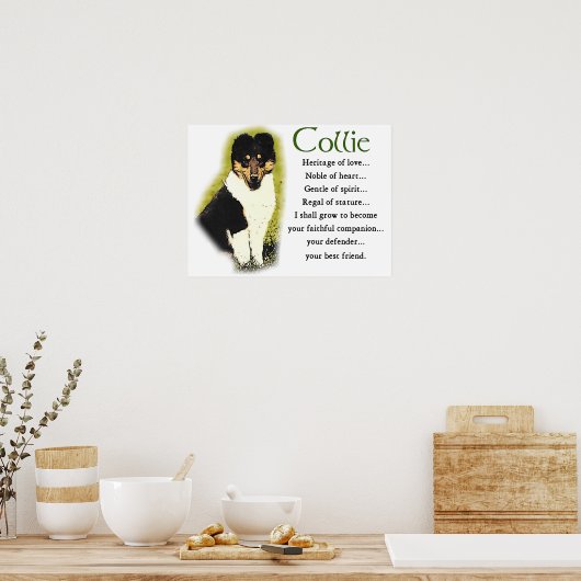 Poster Tri Color Rough Collie Toxits (Cuisine)