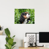 Poster Tri Couleur Cavalier King Charles Spaniel Chien (Bureau à domicile)