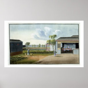 Poster Tri du thé (avec/c sur papier)