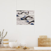 Poster Triathlètes en compétition dans la jambe de nage d (Cuisine)