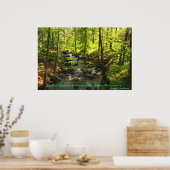 Poster Tributaire du réservoir Quabbin (Cuisine)