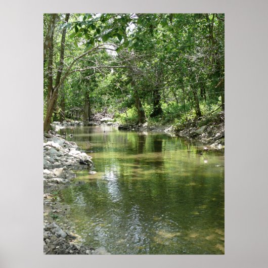 Poster Tributaire lonesome (Devant)