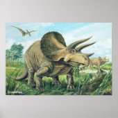 Poster Triceratops (Devant)