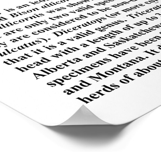 Poster Tricératops crânes (Coin)