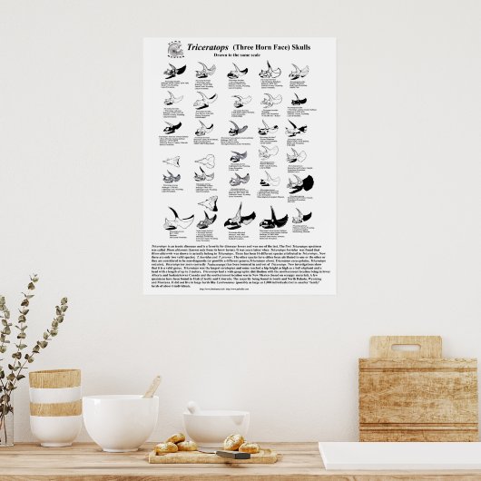 Poster Tricératops crânes (Cuisine)