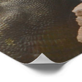 Poster Tricératops Dinosaur (Coin)
